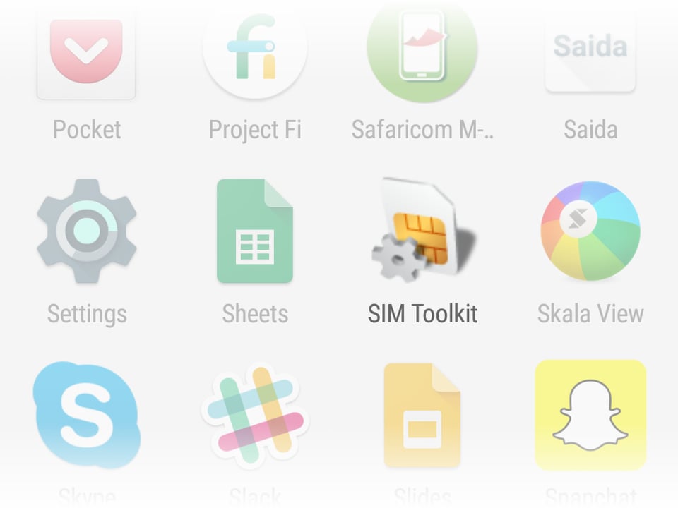 Screenshot of the SIM toolkit app